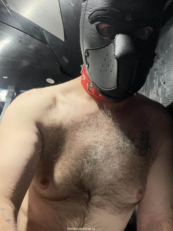 Timothy.James Gay Escort Melbourne 0449075400 Gayescortsydney.com
